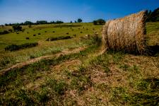 Nicolas BERNIE - STUDIO NB